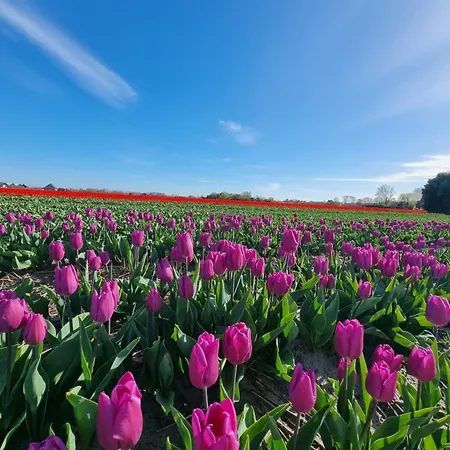 度假居 Loeyly Egmond *