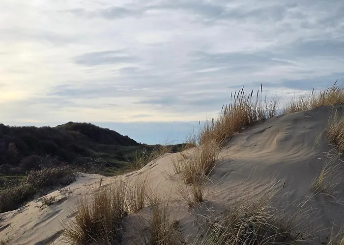 Hébergement de vacances Loeyly Egmond
