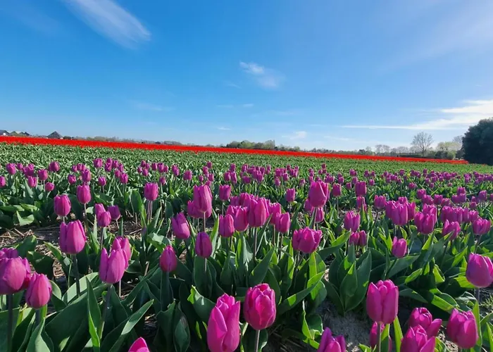 Дом отдыха Loeyly Egmond *